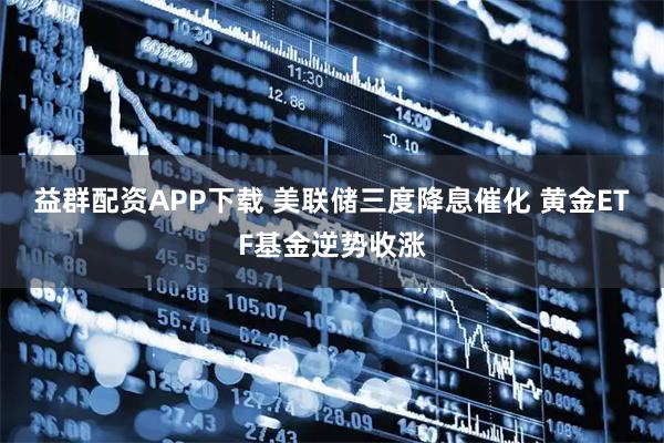 益群配资APP下载 美联储三度降息催化 黄金ETF基金逆势收涨