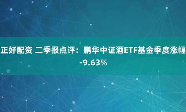 正好配资 二季报点评：鹏华中证酒ETF基金季度涨幅-9.63%