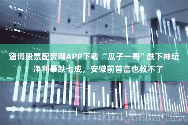 淄博股票配资网APP下载 “瓜子一哥”跌下神坛：净利暴跌七成，安徽前首富也救不了